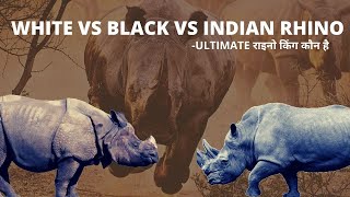 White Rhino Vs Indian Rhino Vs Black Rhino  Jungle Safari [upl. by Xad]