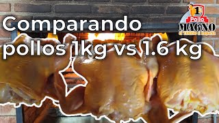 Compara pollo 1kg y 16kg para rosticeria [upl. by Sac169]