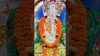 Bappa🌺statusganapatibappa moriya🙏🔱song ❣👣video itnishakti funny short shortsviral [upl. by Fotzsyzrk154]