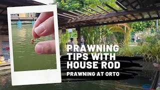 Singapore Prawning  Some tips for beginners using house rods 🦐 [upl. by Sille673]