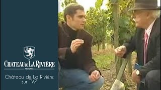 TV7 au Château de La Rivière  Fronsac  Grand Vin de Bordeaux [upl. by Ahtreb973]