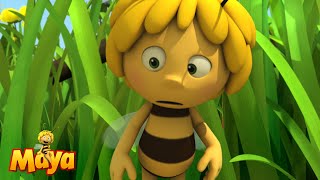 A new responsibility  Maya the Bee🐝🍯🐝 [upl. by Niatsirt]