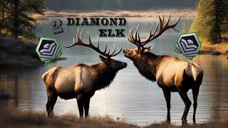 2 Diamond Elk…call of the wild [upl. by Ofori]