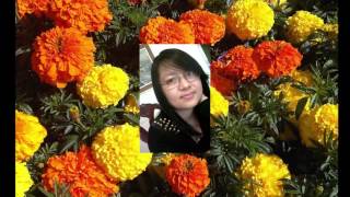 Purbeli Lok Geet Dashain Tihar song 2015 by Mina Rai  Sanjay Tumruk [upl. by Wolfram855]