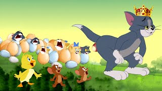 quotTom the King and the Hatchling Chaos Funny Adventurequot  Tom and Jerry Cartoon  Tom amp Jerry [upl. by Dyana]