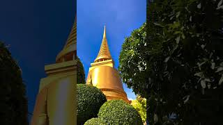 Thailand Best Attraction Place thailand bangkok pattaya india world travel shortsfeed shorts [upl. by Rafaello537]