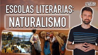 RESUMO SOBRE O NATURALISMO  Contexto histórico e características  Escolas Literárias [upl. by Byrle]