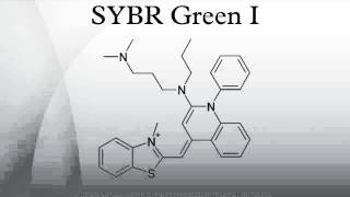 SYBR Green I [upl. by Pember172]