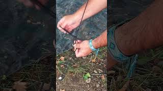 Nœud tendeur pour bache bushcraft camp astuces noeud tendeur corde [upl. by Anneuq]