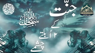 Jannat Ke 2 Ubalte Chasme Molana Tariq Jameel Saheb [upl. by Lehcsreh]