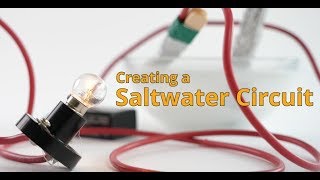 Saltwater Circuit [upl. by Esinart]