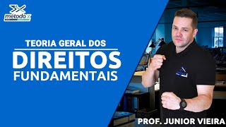 Aula Completa Teoria Geral dos Direitos Fundamentais  Prof Junior Vieira [upl. by Sillad]