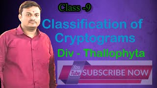 Class9thClassification of plantsDivThallophyta [upl. by Hsiri70]