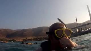 Ko Olina Marina Snorkeling Tour [upl. by Abby112]