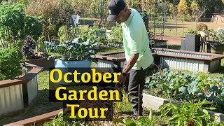 October Garden Tour  New citrus addition garden gardening [upl. by Yellat884]