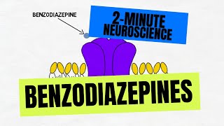 2Minute Neuroscience Benzodiazepines [upl. by Rufus85]