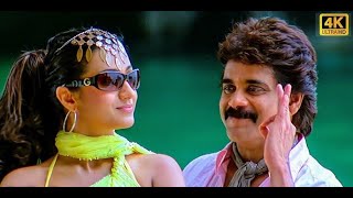 O Manmadhuda 4k 60FPS Video Song King Movie Nagarjuna Trisha [upl. by Yeknarf938]