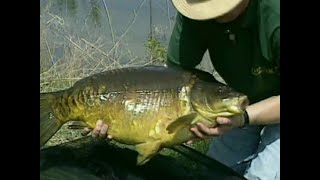 Total Fishing  Matt Hayes  Big Carp Off The Top  Barbel Fishing The River Severn  S01 E02 [upl. by Htomit]