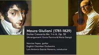 Mauro Giuliani Guitar Concerto No 1 in A major Op 30 [upl. by Wendye]