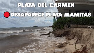 PLAYA DEL CARMEN SE ESTA QUEDANDO SIN PLAYA  12 JUNIO 2024 [upl. by Donetta]