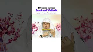 Difference between sunni and Wahhabi  people who talk ill about wahhabism  islam quran muslim [upl. by Neirda]