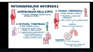 Mystery diagnosis antiphospholipid antibody syndrome [upl. by Alvita]