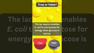 Biology Definition Challenge  Lac operon 2 [upl. by Putnem447]