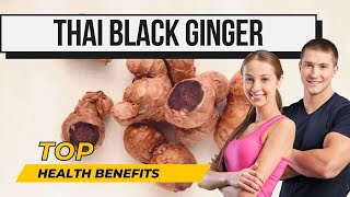 USES amp BENEFITS OF THAI BLACK GINGER Kaempferia parviflora blackginger sexualhealthformen ginger [upl. by Grath]