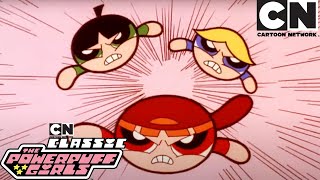 The Rowdy Ruff Boys  The Powerpuff Girls Classic  Cartoon Network [upl. by Aronaele135]