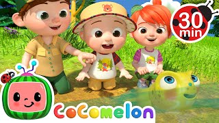 Down by the Pond  MORE CoComelon Nursery Rhymes amp Kids Songs [upl. by Dlorrej918]