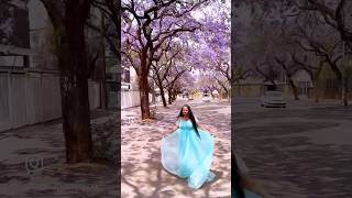 jacaranda pretoriacapitals southafrica purple ramyavlogsfromsouthafrica subscribe love fam [upl. by Emiline]