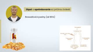 Boswellia serrata [upl. by Weyermann]