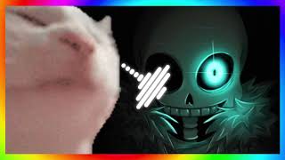 Cat Vibing to Undertale Megalovania Dubstep Remix [upl. by Millhon]