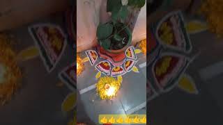 diwalispecial rangoli pan ke podha decoration shortvideo [upl. by Nodarse]