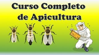 Curso completo de apicultura  Libro Completo Gratis [upl. by Yssis]