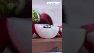 Why Radish Feels So Spicy in Your Mouth  HACK MIND LAB [upl. by Meir]