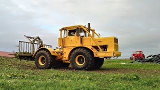 Rübenernte im Komplex Teil 2 mit Kirovets Fortschritt und Belarus [upl. by Yelhak398]