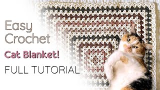 Easy Crochet Cat Blanket  Continuous Granny V Stitch Square Blanket [upl. by Enymsaj]