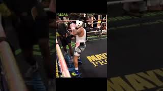 GERVONTA DAVIS SPARRING MIDDLEWEIGHT TO GET READY FOR ROLLY ROMERO [upl. by Sucam]