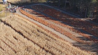 Flying over Pahls Pumpkin Patch in Buckley [upl. by Gregrory936]