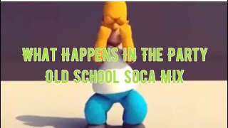 What Happens In The Party Old School Soca Mix ft Rupee Ricardo Drue Kevin Lyttle [upl. by Ethban605]