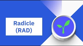 Radicle Coin Nedir [upl. by Bish]