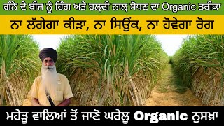 Organic farming। ਗੰਨੇ ਦੇ ਬੀਜ ਨੂੰ ਹਿੰਗ ਅਤੇ ਹਲ਼ਦੀ ਨਾਲ਼ ਸੋਧਣ ਦਾ Organic ਤਰੀਕਾ। ਕੀੜਾਸਿਉਂਕਰੋਗ ਦਾ ਨਾਸ਼ [upl. by Saidel]