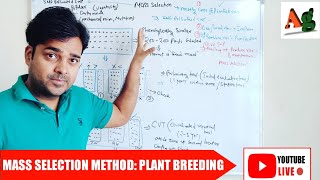 Mass Selection Method of Plant Breeding  Agriculture RS Rajput [upl. by Fernald66]