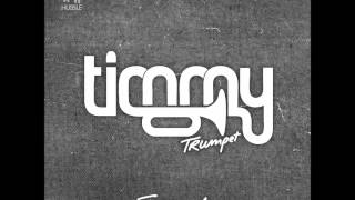 Timmy Trumpet  Freaks remix [upl. by Oyam]