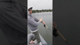 Musky fly fishing with BobMitchellsFlyShop flyfishing fishing musky muskyfishing [upl. by Eycats]