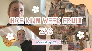 shoppen naar Antwerpen amp shoppinghaulweekvlog 2 [upl. by Yelrac43]