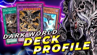 DECK PROFILE DARK WORLD DECK COMPETITIVO  DECEMBER 2022 [upl. by Pace430]