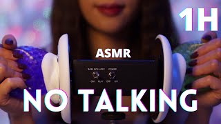 ASMR  1H NO TALKING 🤫 [upl. by Aniuqahs]