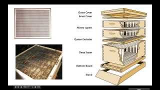 Basic Beekeeping 101  Short Review [upl. by Kelson]